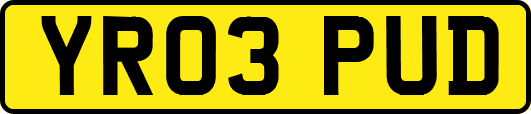YR03PUD