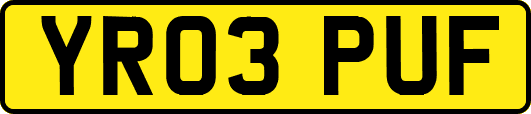 YR03PUF