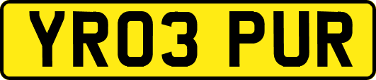 YR03PUR