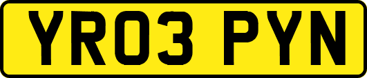 YR03PYN