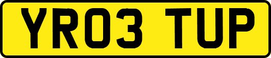 YR03TUP