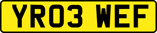 YR03WEF
