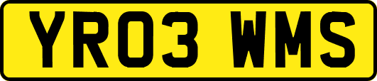 YR03WMS