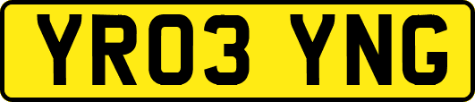YR03YNG