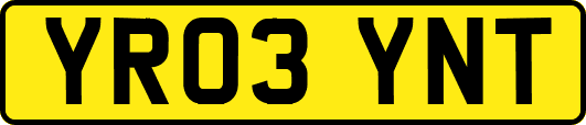 YR03YNT