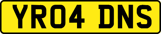 YR04DNS