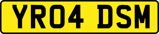 YR04DSM