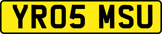 YR05MSU
