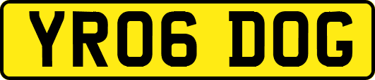 YR06DOG