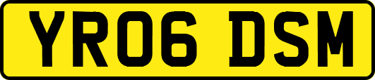 YR06DSM
