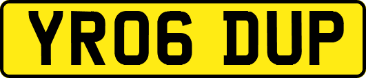 YR06DUP