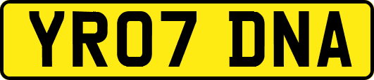 YR07DNA