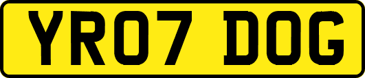 YR07DOG