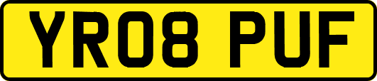 YR08PUF