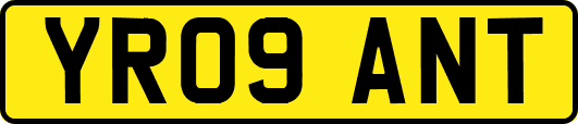 YR09ANT