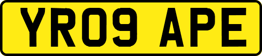 YR09APE