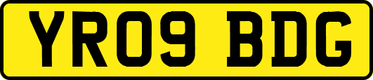 YR09BDG