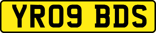 YR09BDS