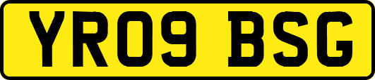 YR09BSG