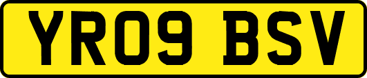 YR09BSV