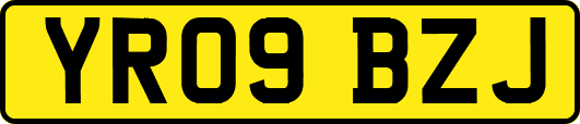 YR09BZJ