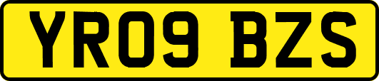 YR09BZS
