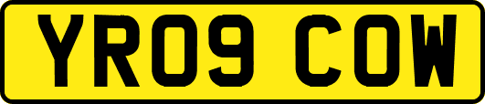 YR09COW