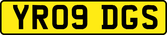 YR09DGS