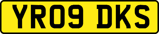 YR09DKS