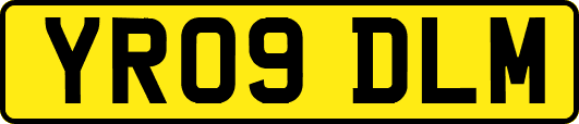 YR09DLM