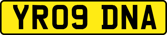 YR09DNA