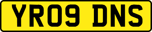 YR09DNS