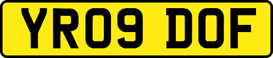 YR09DOF