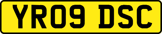 YR09DSC