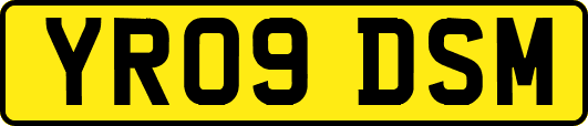 YR09DSM