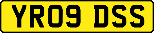 YR09DSS