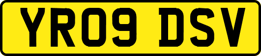 YR09DSV