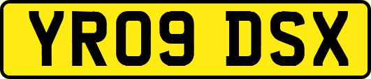 YR09DSX