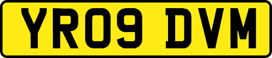 YR09DVM