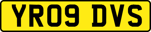 YR09DVS