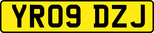 YR09DZJ