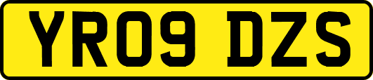 YR09DZS