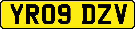 YR09DZV