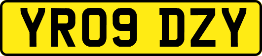 YR09DZY