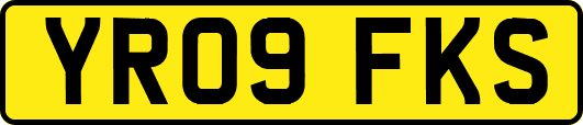 YR09FKS