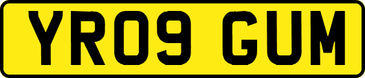 YR09GUM
