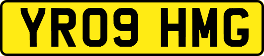 YR09HMG