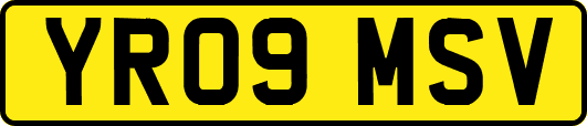YR09MSV