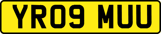YR09MUU