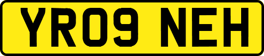 YR09NEH